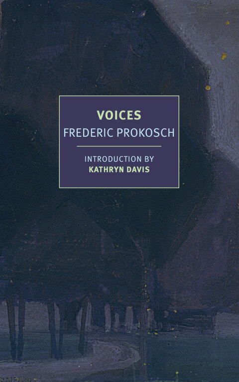 Cover image for book Voices