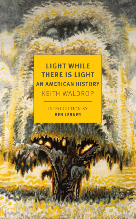 Cover image for book Light While There is Light
