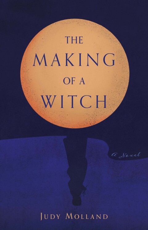 Cover image for book The Making of a Witch