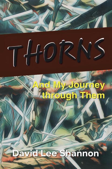 Cover image for book Thorns