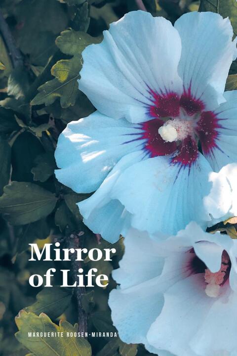 Cover image for book Mirror of Life