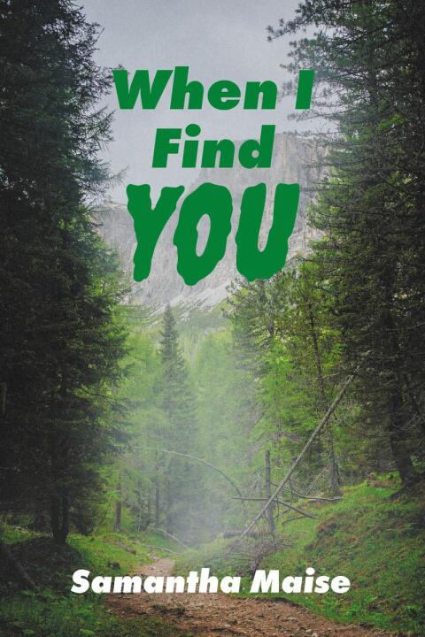 Cover image for book When I Find You
