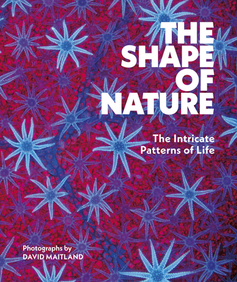 Cover image for book The Shape of Nature