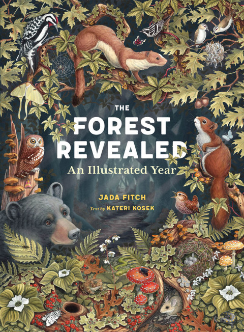Cover image for book The Forest Revealed