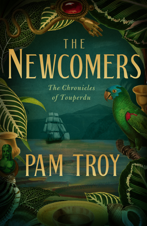 Cover image for book The Newcomers