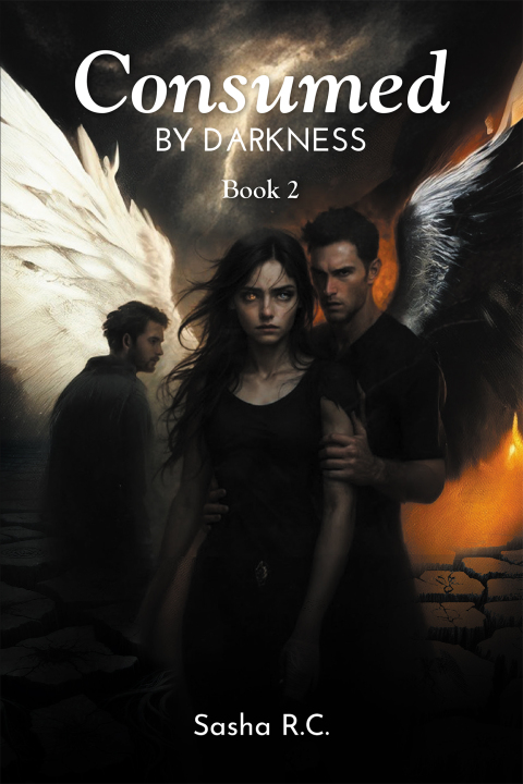 Cover image for book Consumed by Darkness
