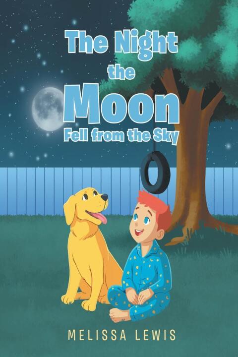 Cover image for book The Night the Moon Fell from the Sky