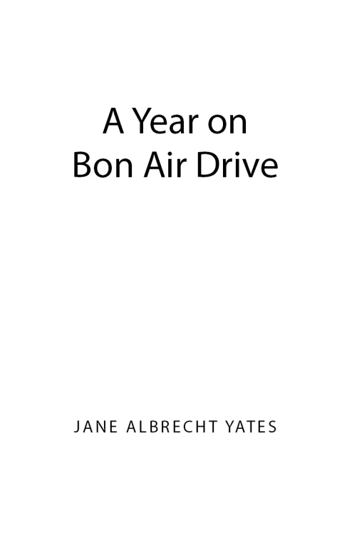 Cover image for book A Year on Bon Air Drive