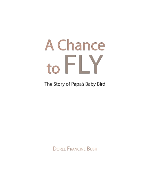Cover image for book A Chance to Fly