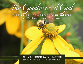 The Goodness of God