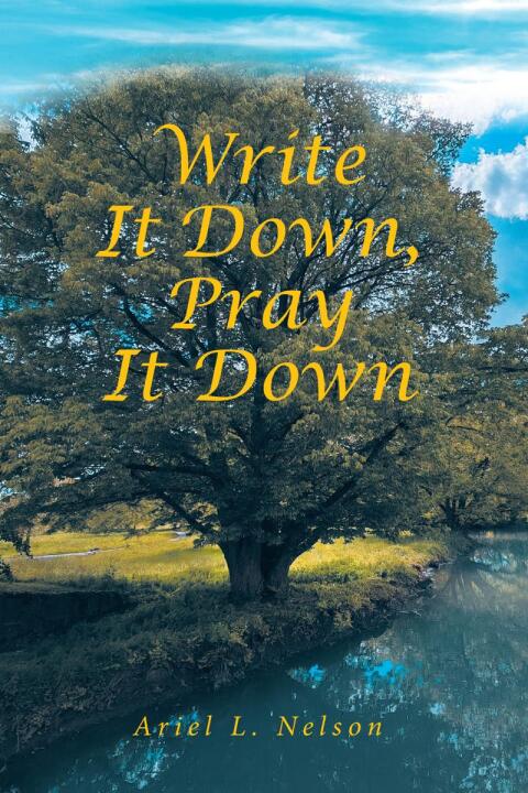 Cover image for book Write It Down, Pray It Down