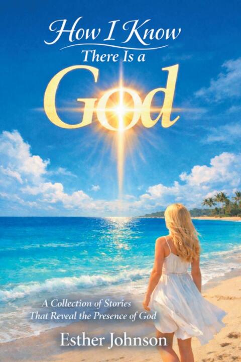 Cover image for book How I Know There Is a God
