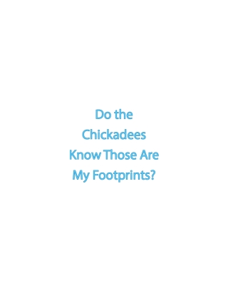 Do the Chickadees Know Those Are My Footprints?