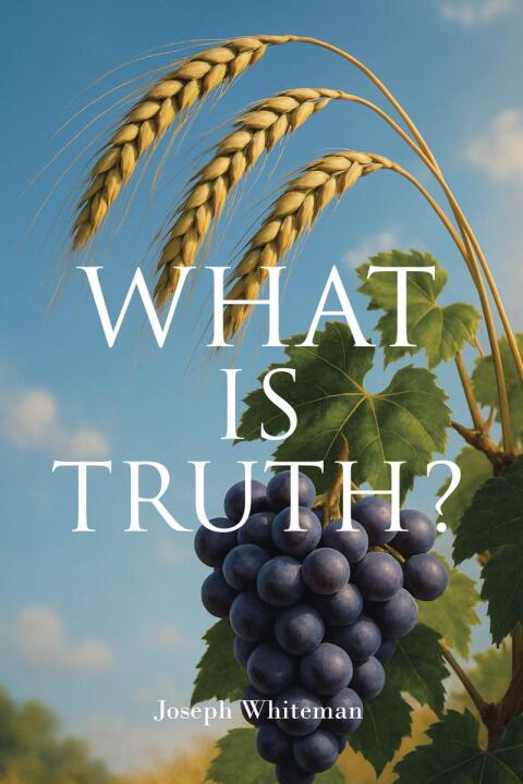 Cover image for book WHAT IS TRUTH?
