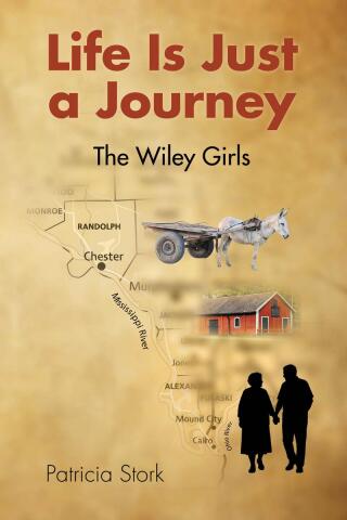 Life Is Just a Journey: The Wiley Girls
