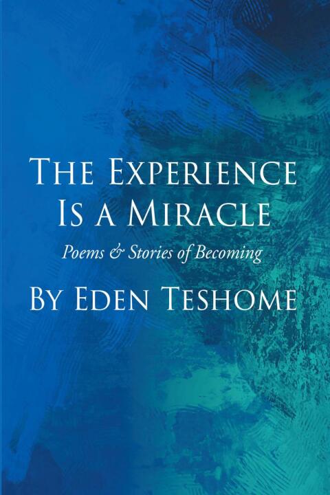 Cover image for book The Experience Is a Miracle