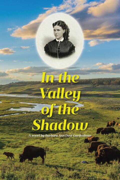 Cover image for book In the Valley of the Shadow