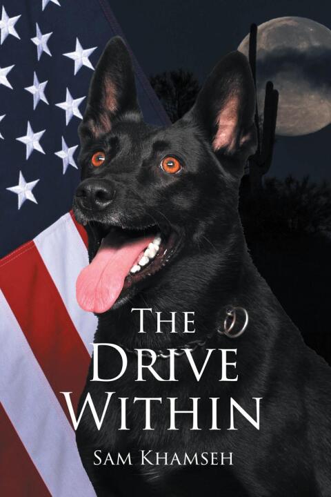 Cover image for book The Drive Within