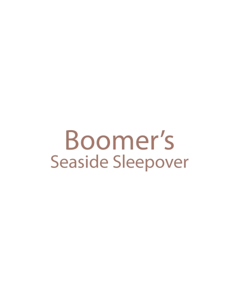 Cover image for book Boomer's Seaside Sleepover