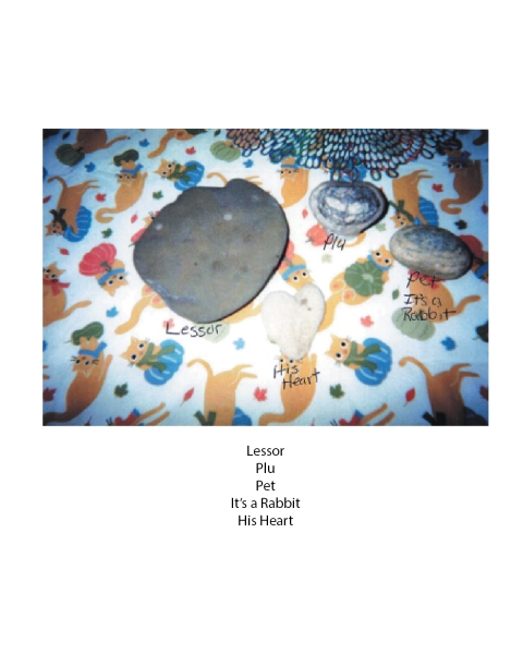 Cover image for book Lessor the Rock Ghost