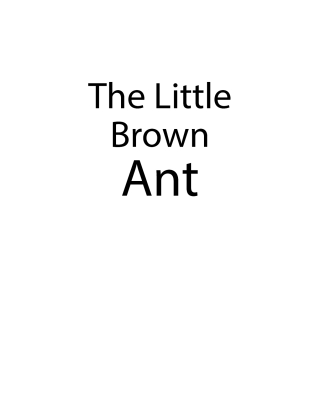The Little Brown Ant