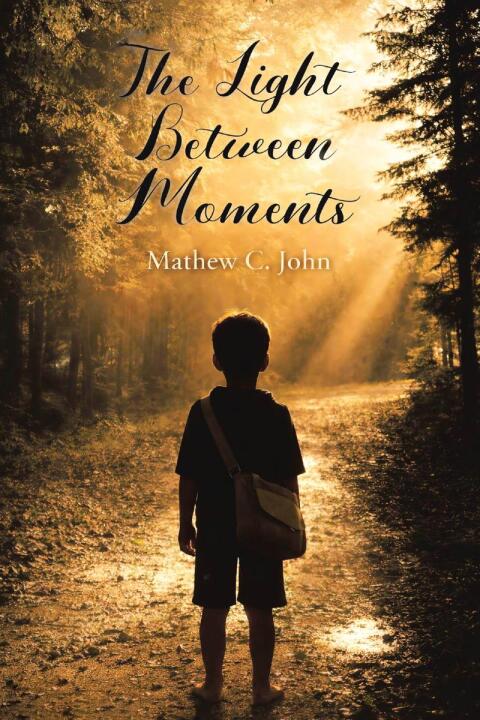 Cover image for book The Light Between Moments