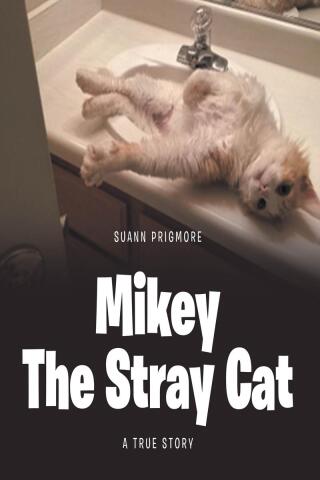 Mikey the Stray Cat