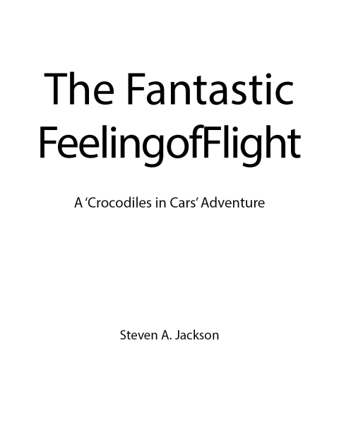 Cover image for book The Fantastic Feeling of Flight