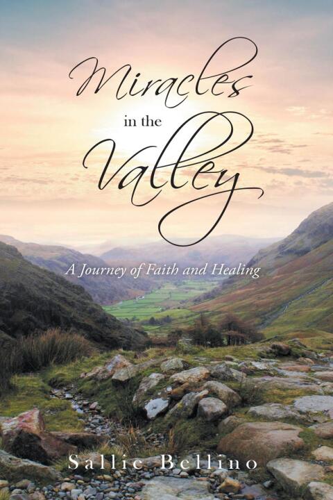 Cover image for book Miracles in the Valley