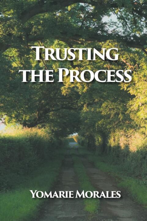 Cover image for book Trusting the Process
