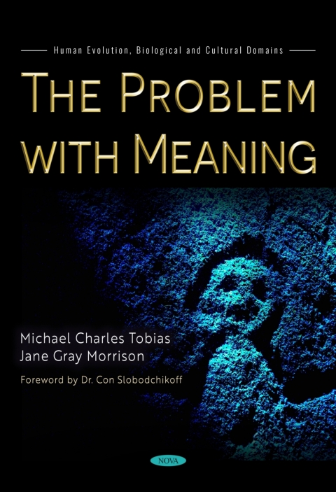 Cover image for book The Problem with Meaning