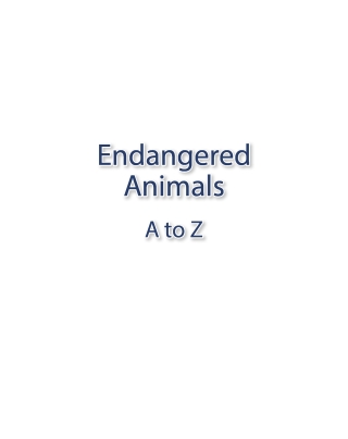 Endangered Animals A to Z