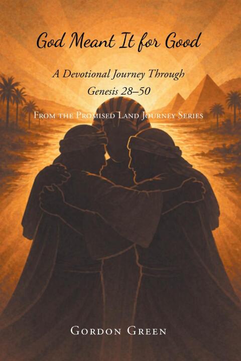 Cover image for book God Meant It for Good