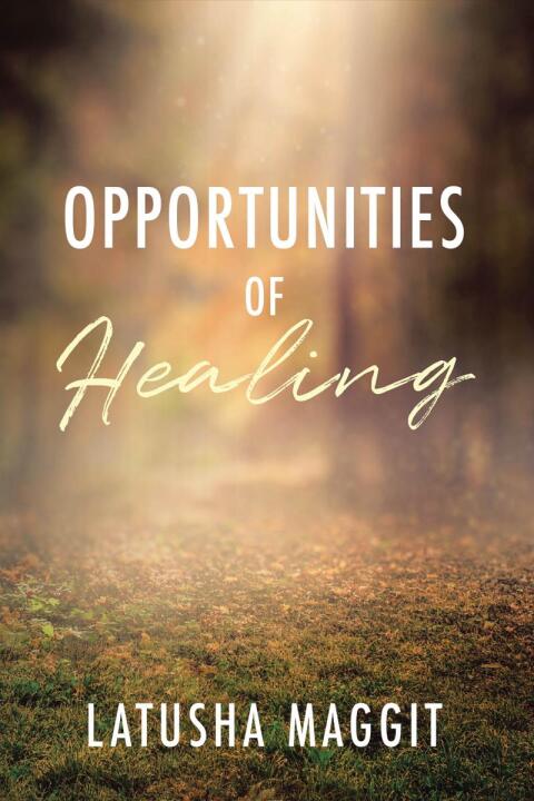 Cover image for book Opportunites of Healing