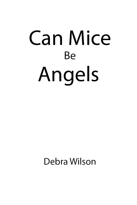 Cover image for book Can Mice Be Angels