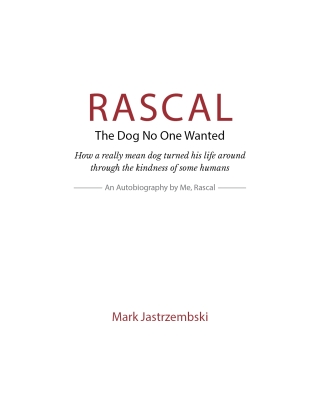 Rascal The Dog No One Wanted