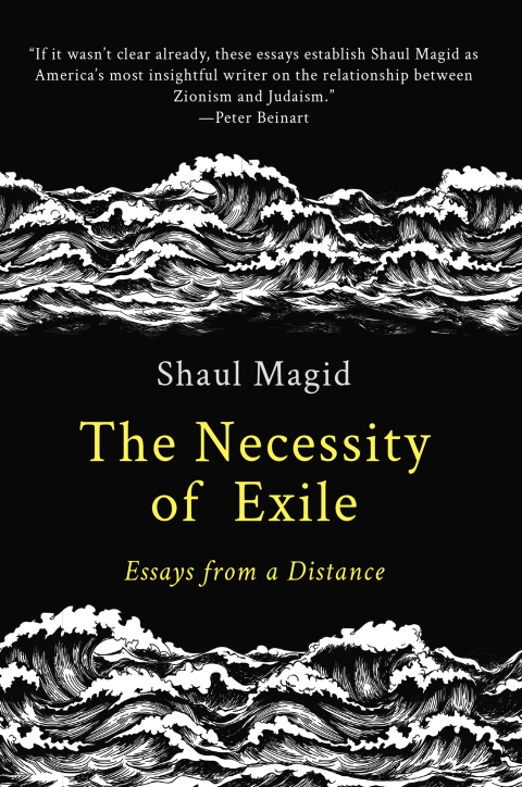 Cover image for book The Necessity of Exile