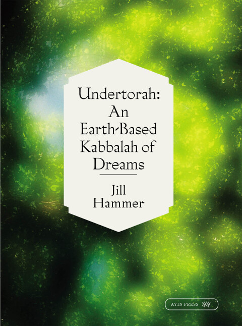 Cover image for book Undertorah