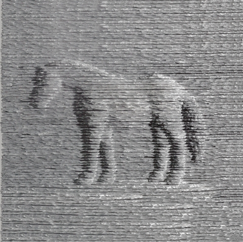 Cover image for book Boaz Vaadia