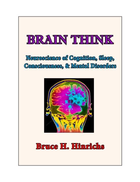Cover image for book Brain Think