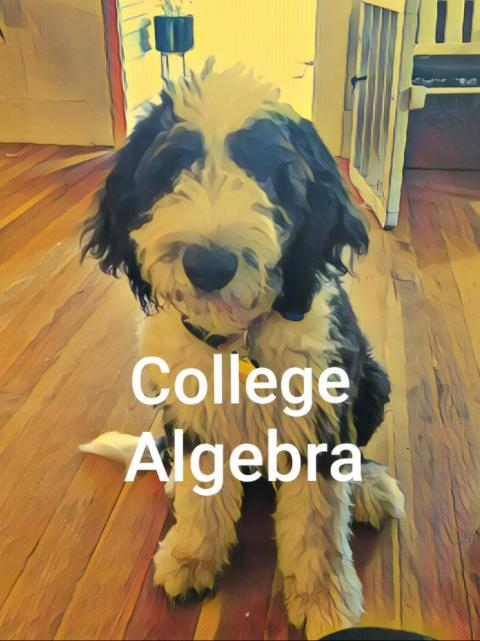 Cover image for book College Algebra Video eBook