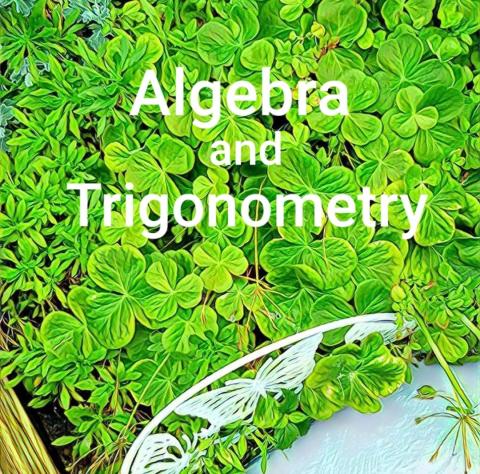 Cover image for book Algebra and Trigonometry Video eBook