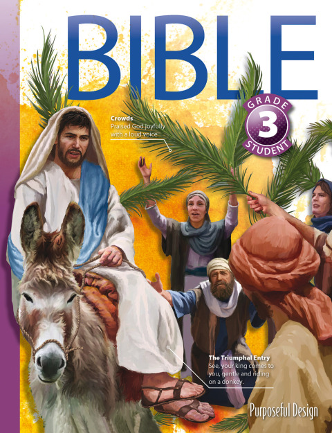 Cover image for book Bible: Grade 3, Student Textbook