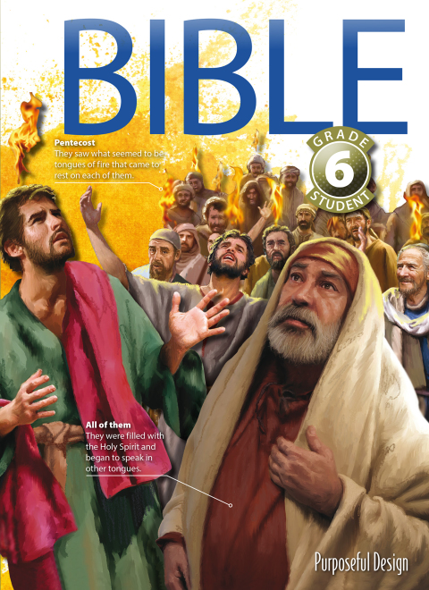 Cover image for book Bible: Grade 6, Student Textbook