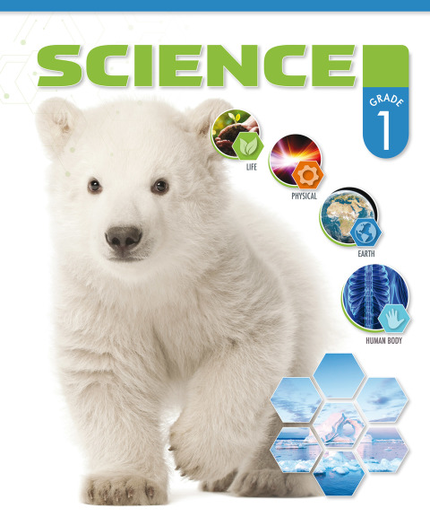 Cover image for book Science: Grade 1, Teacher Textbook
