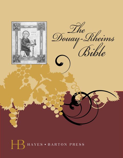 Cover image for book Douay-Rheims Bible