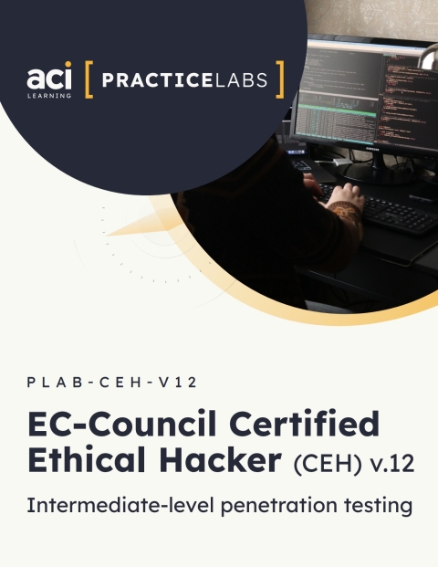 Cover image for book EC-Council Certified Ethical Hacker (CEH) v.12:  Intermediate-level penetration testing