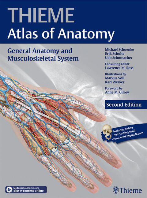 Cover image for book General Anatomy and Musculoskeletal System (THIEME Atlas of Anatomy)